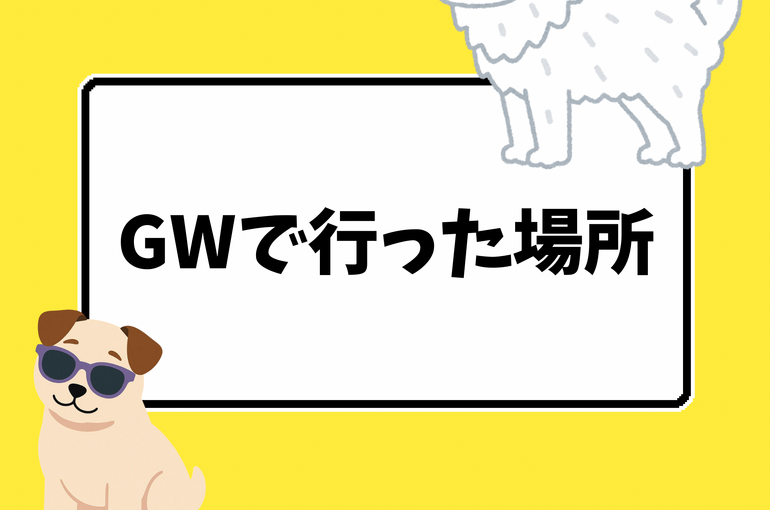 トレーナー 紹介