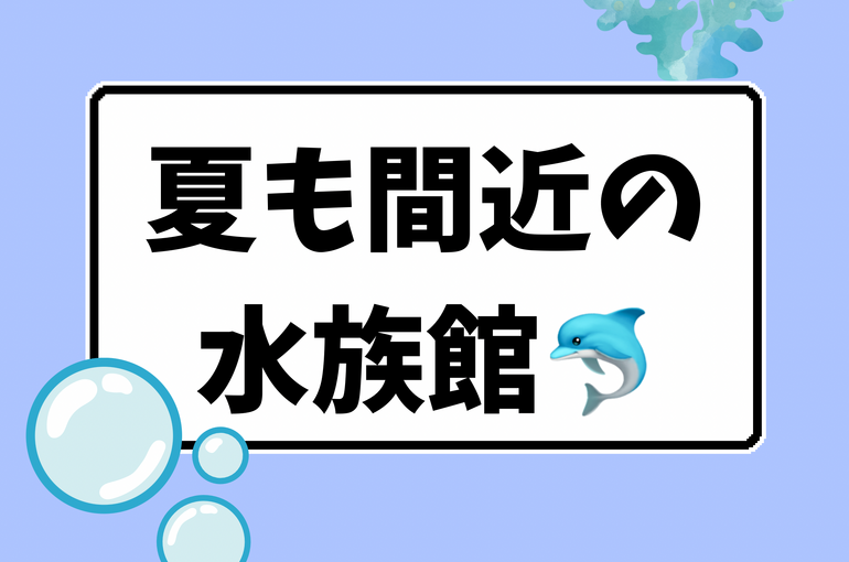 トレーナー 紹介