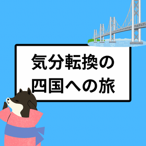トレーナー 紹介